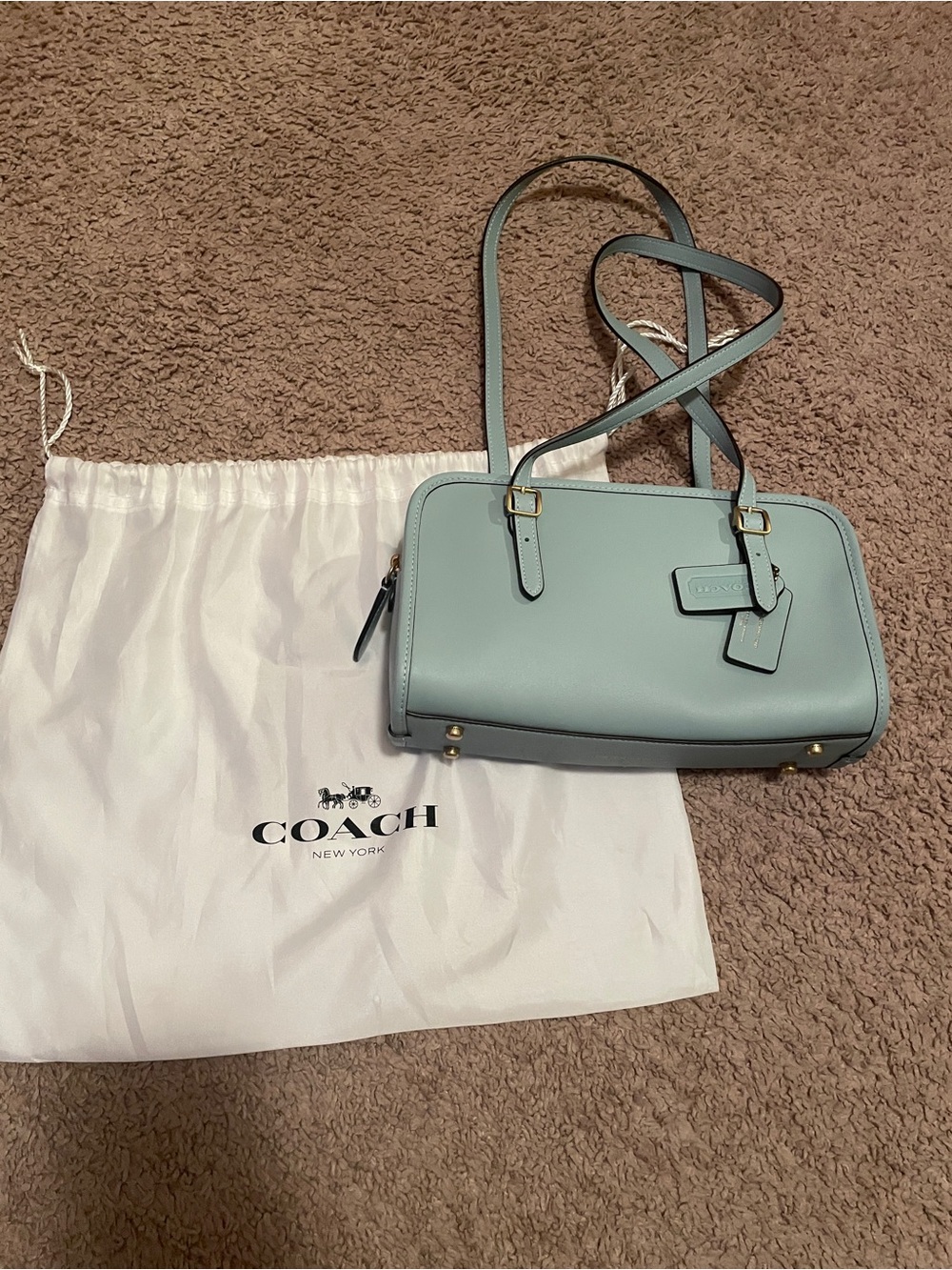 Coach Swing Zip Leather Shoulder Bag in Light Blue